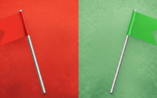 Red Flags vs Green Flags in Online Dating